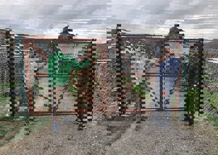 Svilos Tor2 Skaliert Min