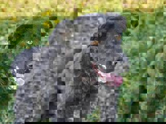 Kai_1.jpg (3)