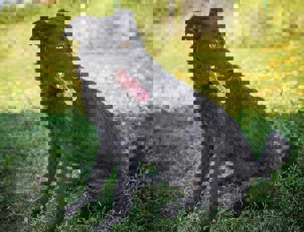 Kai_2.jpg (3)