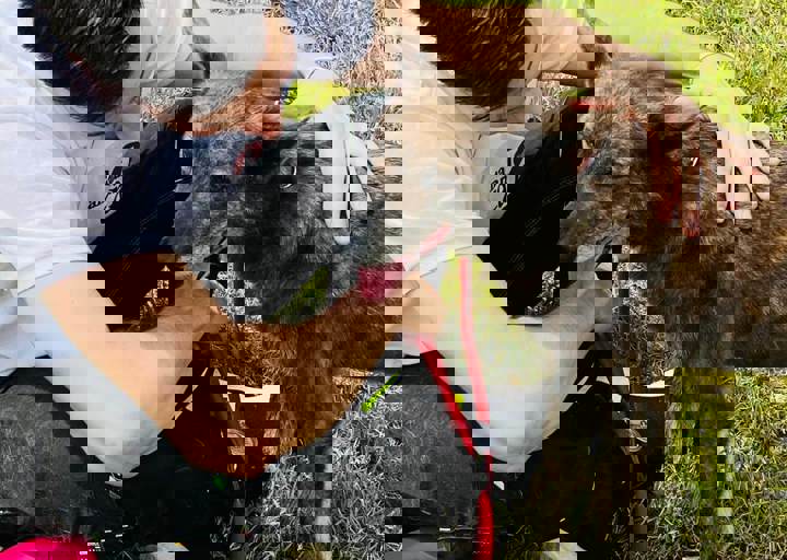 PHOTO 2024 07 04 22 38 22 3