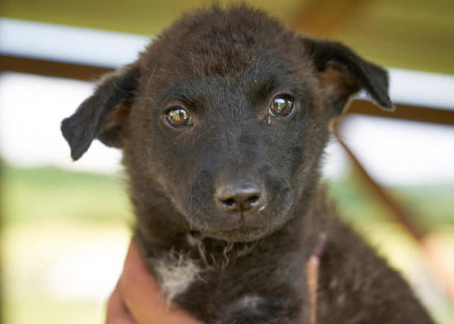 Kira Titer 0923 1000X715