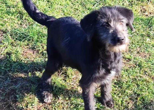 Hermine Titer 0124 1000X715