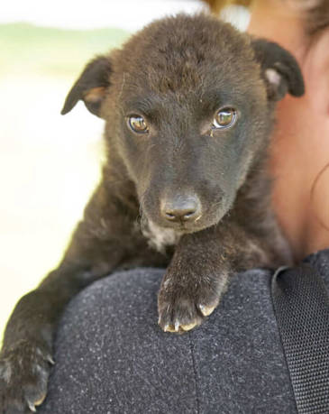 Kira Titer 0923 715X900