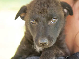 Kira Titer 0923 715X900